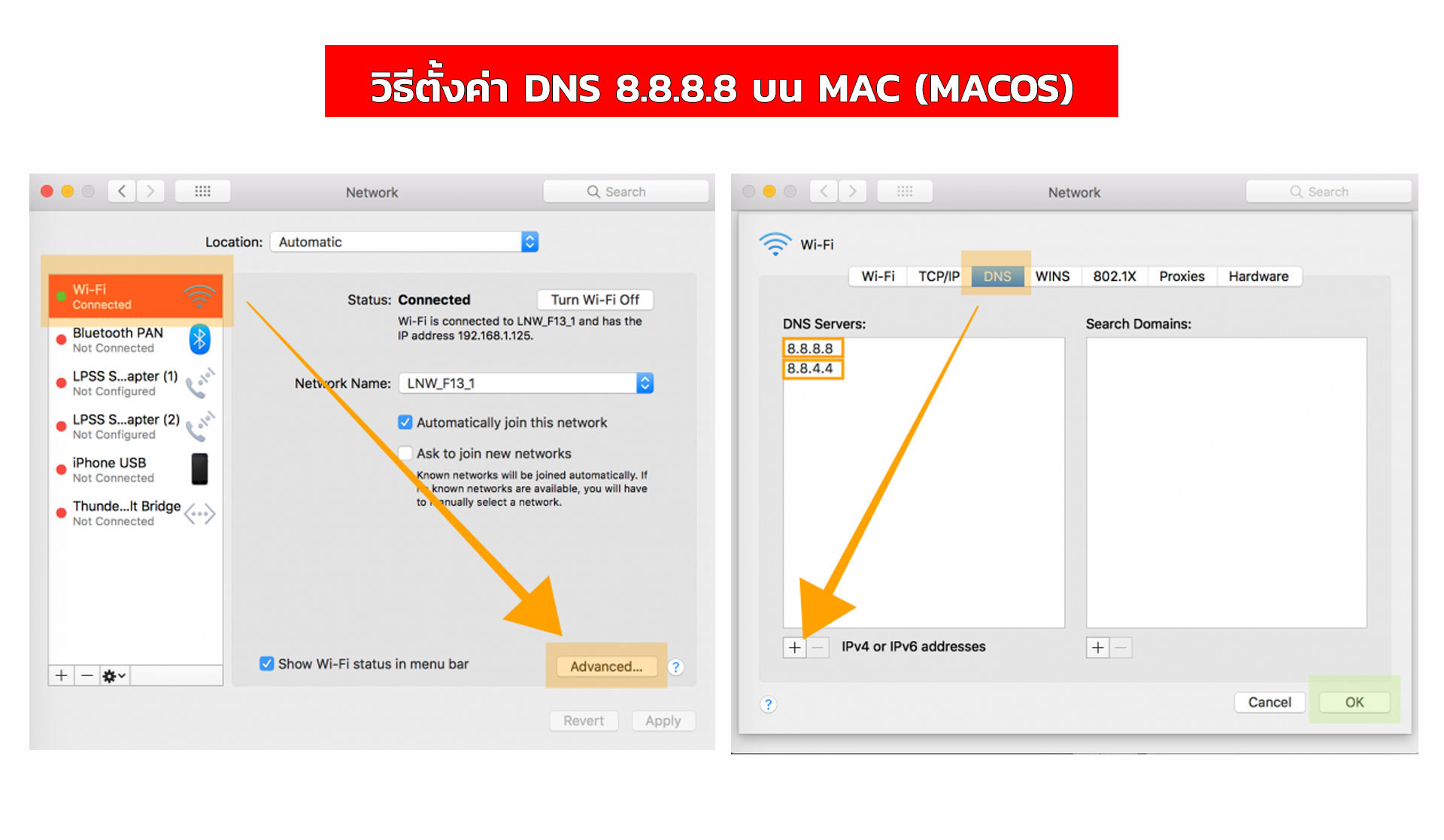 วิธีตั้งค่า DNS 8.8.8.8 บน Mac (macOS)